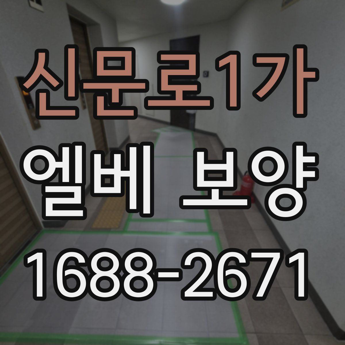 신문로1가 엘베 보양