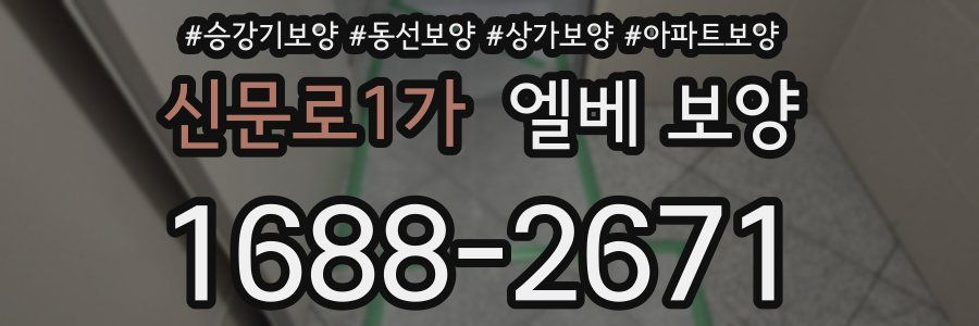 신문로1가 엘베 보양