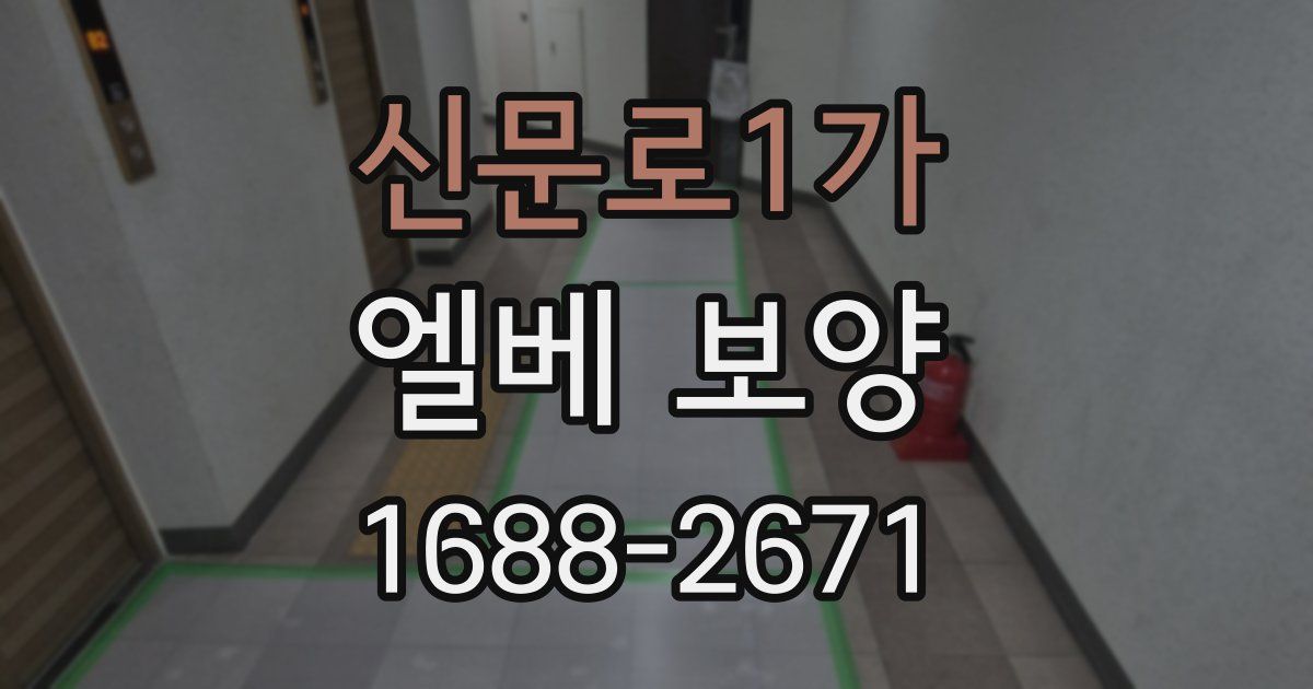 신문로1가 엘베 보양