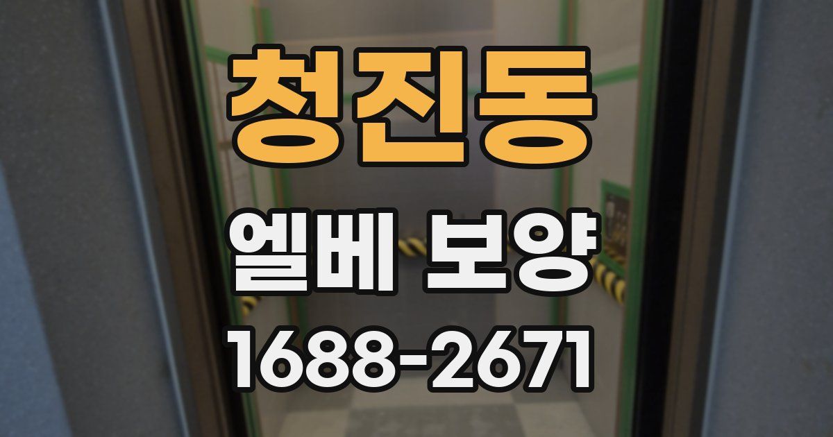 청진동 엘베 보양