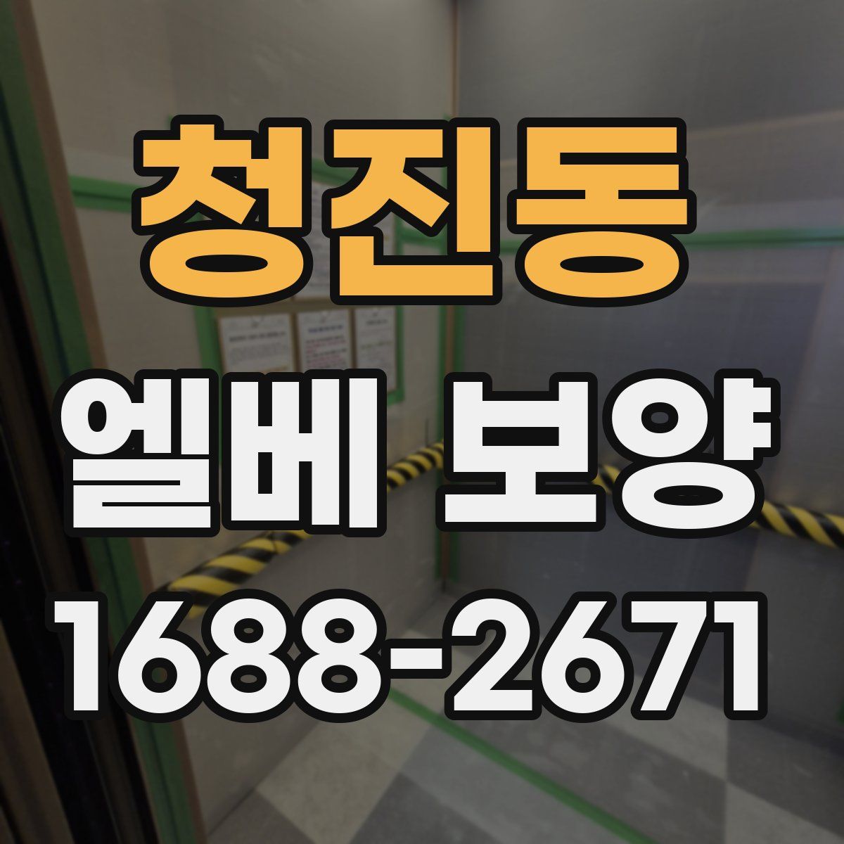 청진동 엘베 보양