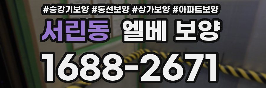 서린동 엘베 보양