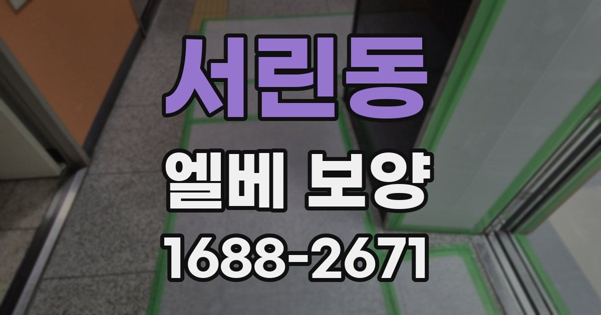 서린동 엘베 보양