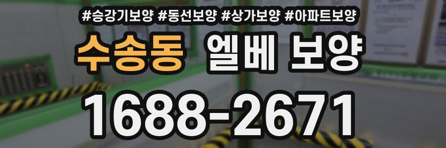 수송동 엘베 보양