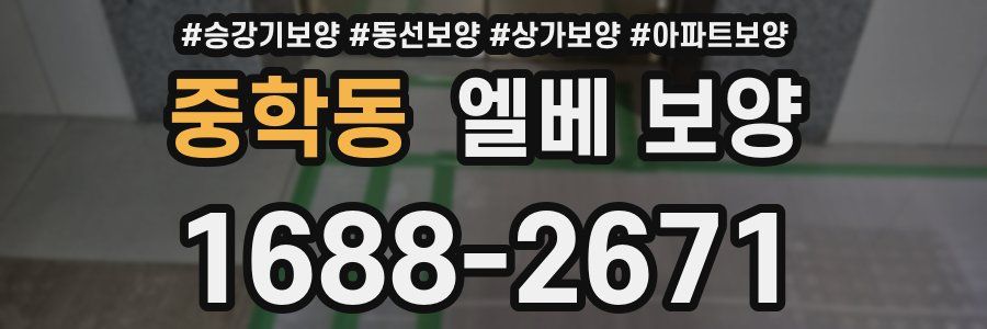 중학동 엘베 보양