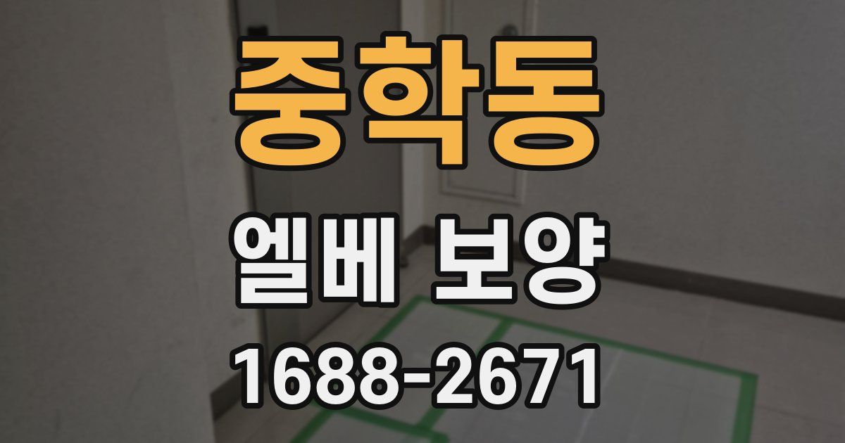 중학동 엘베 보양