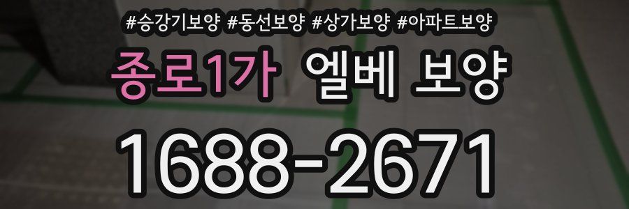 종로1가 엘베 보양