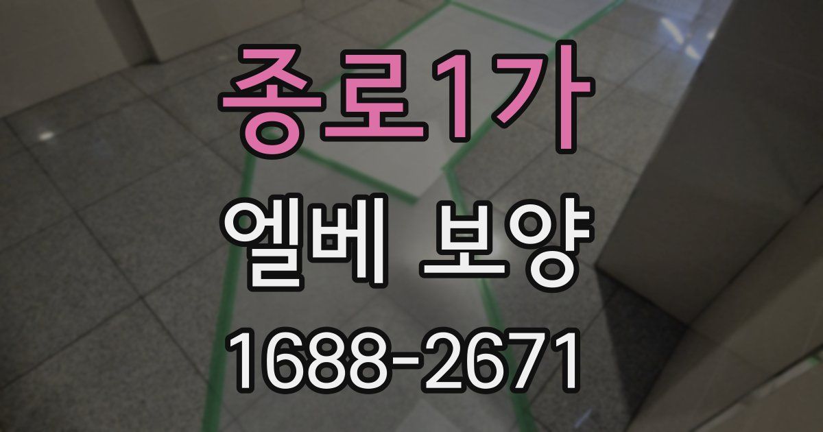 종로1가 엘베 보양