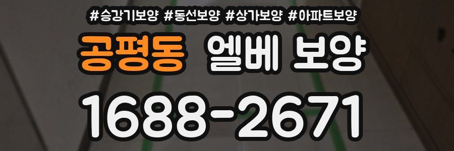 공평동 엘베 보양