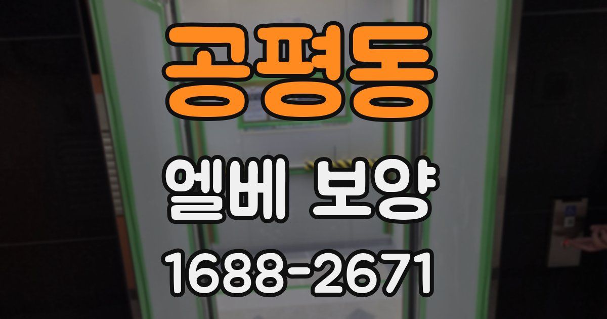 공평동 엘베 보양