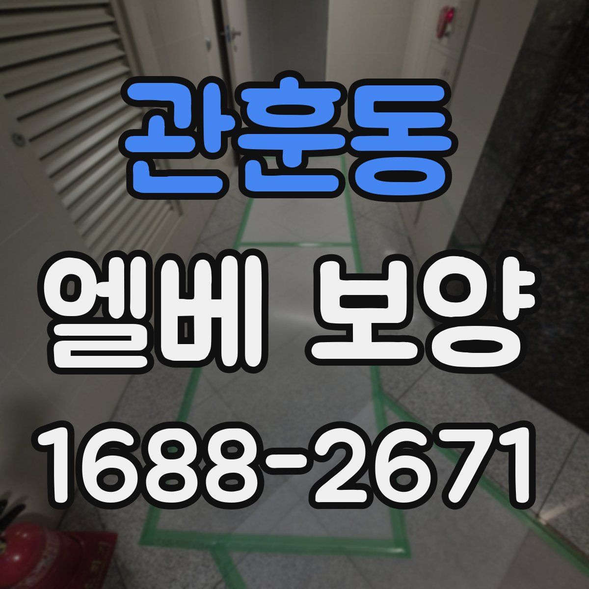 관훈동 엘베 보양