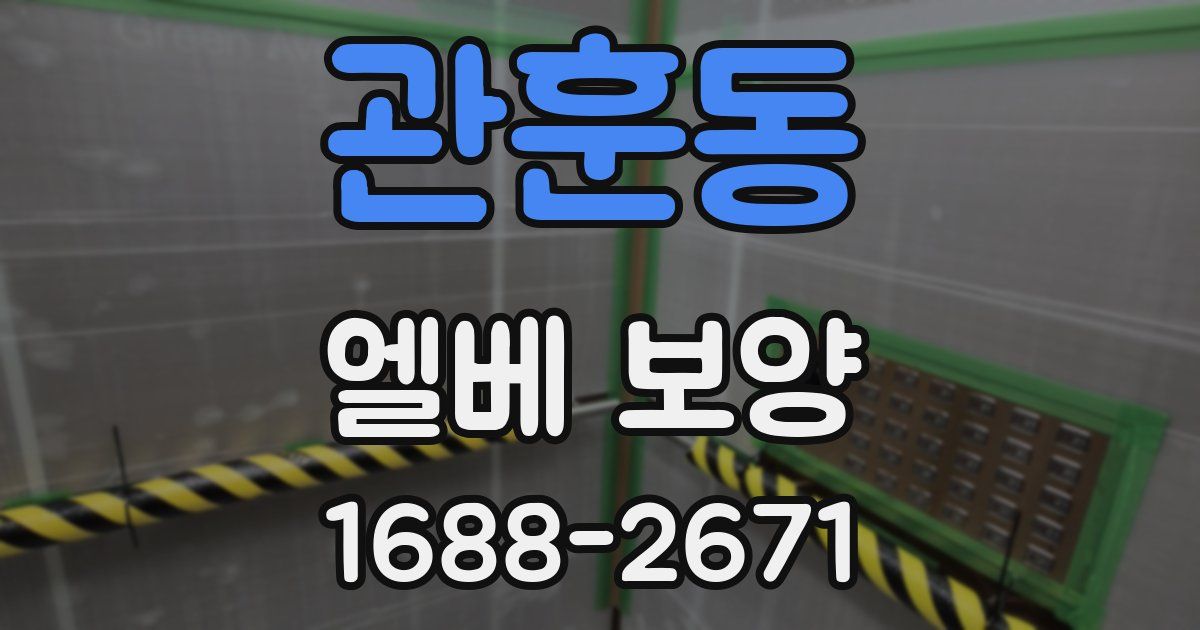 관훈동 엘베 보양