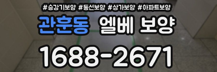 관훈동 엘베 보양