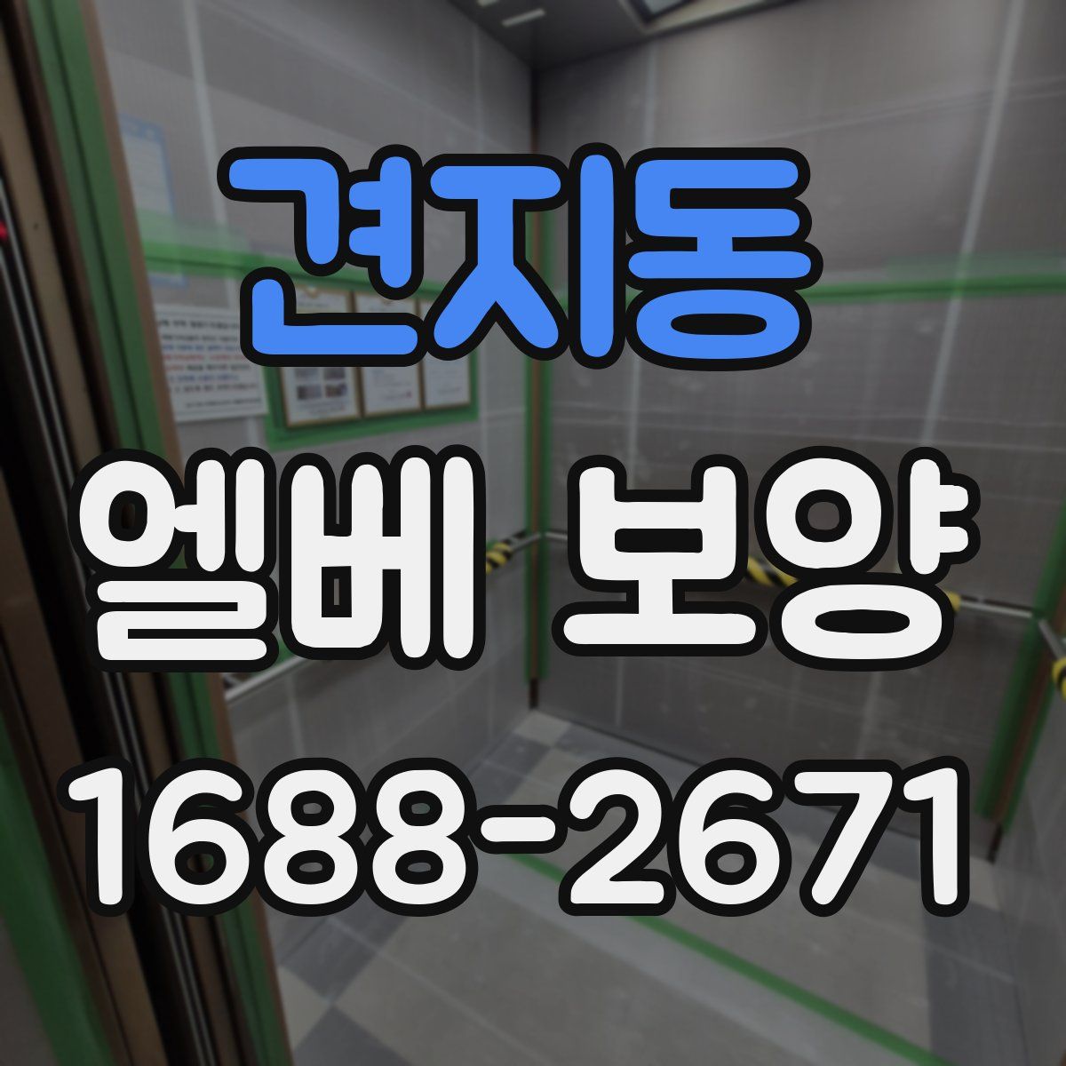 견지동 엘베 보양
