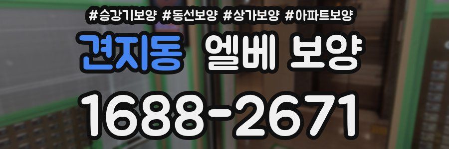 견지동 엘베 보양