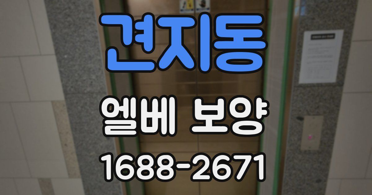견지동 엘베 보양