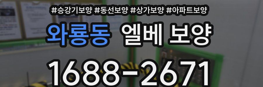 와룡동 엘베 보양