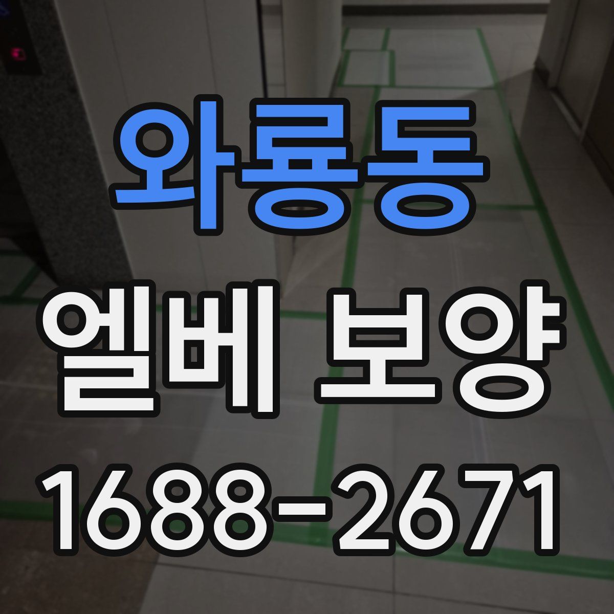 와룡동 엘베 보양