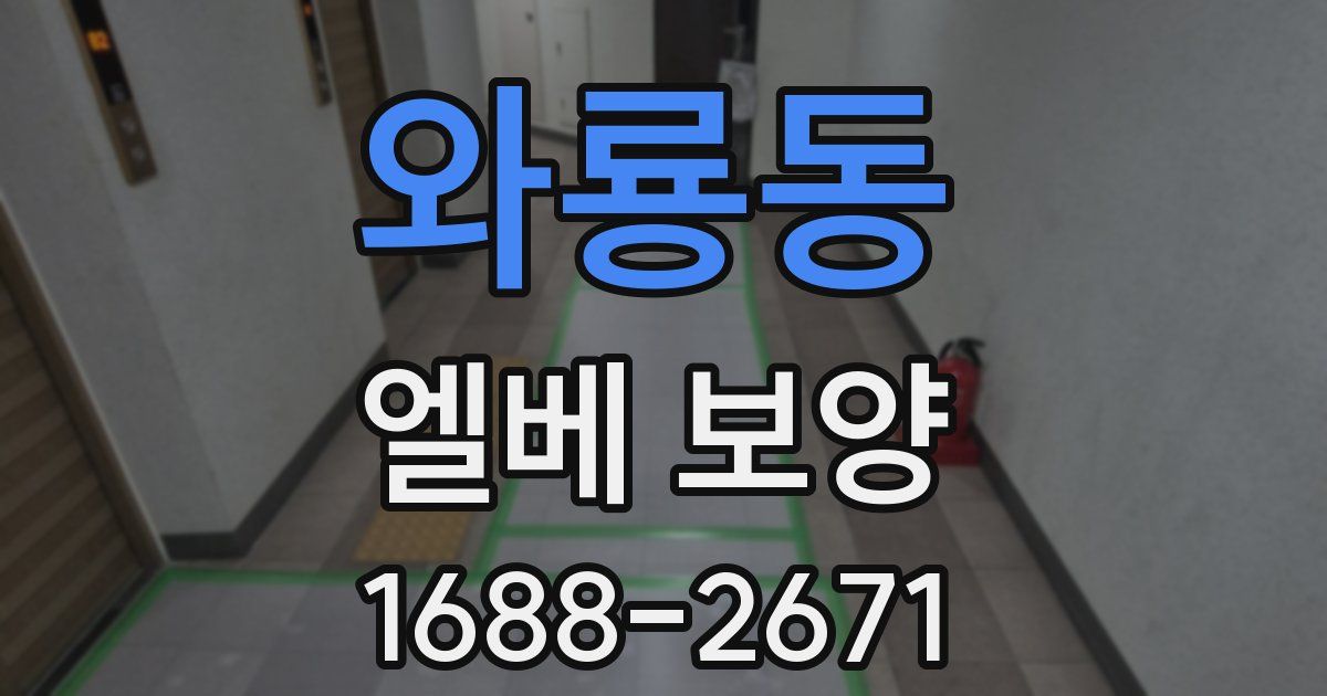 와룡동 엘베 보양