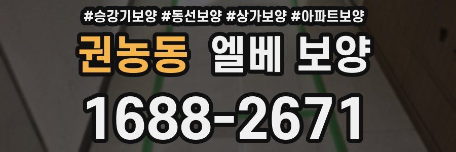 권농동 엘베 보양