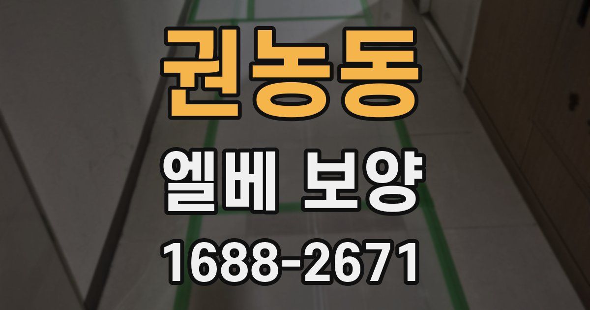 권농동 엘베 보양