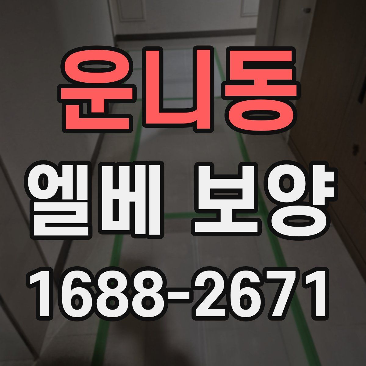 운니동 엘베 보양