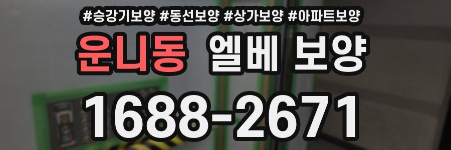 운니동 엘베 보양