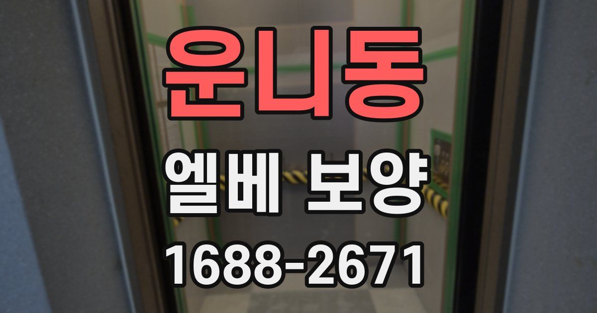 운니동 엘베 보양