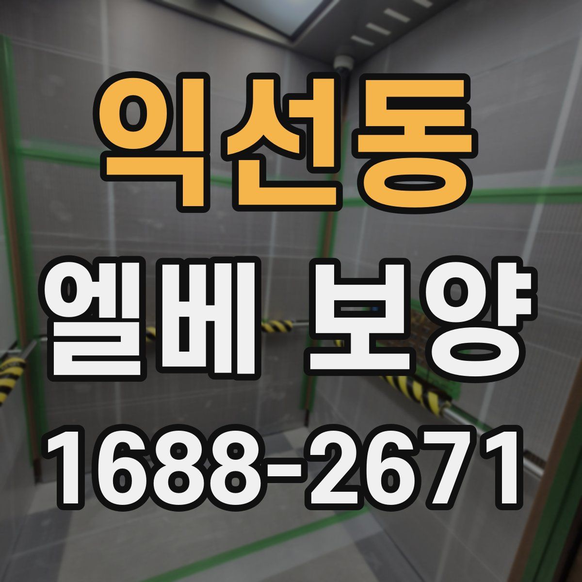 익선동 엘베 보양