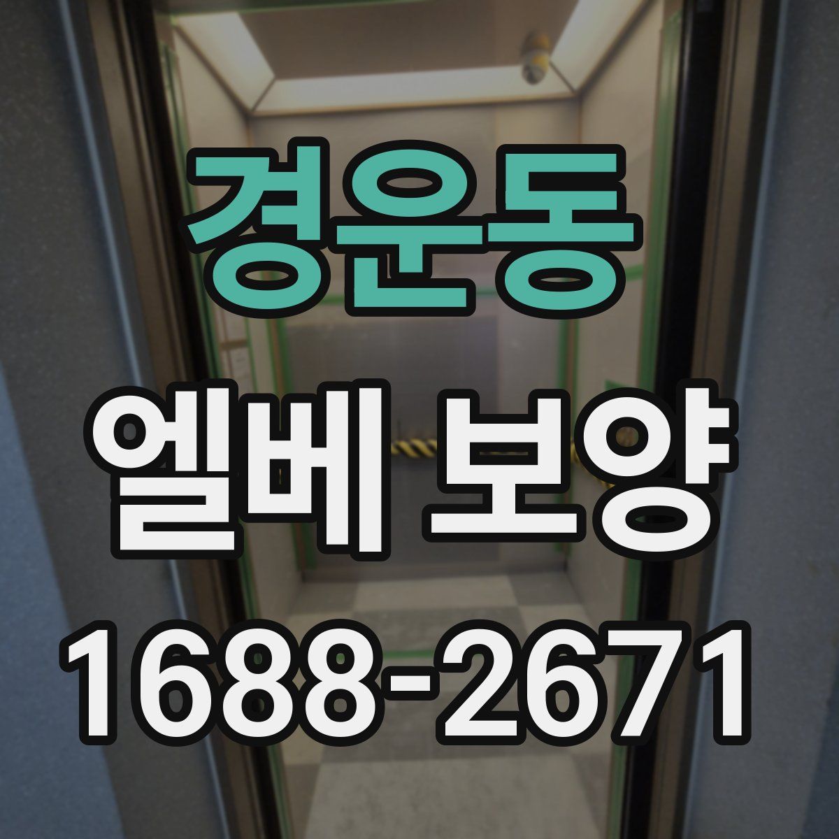 경운동 엘베 보양