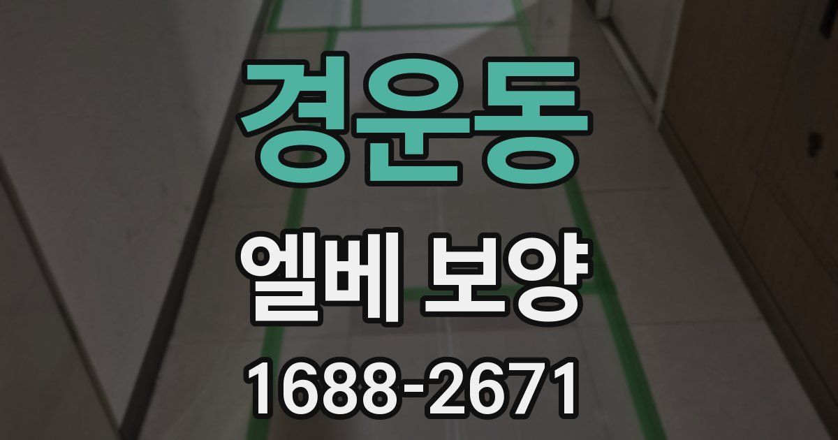 경운동 엘베 보양