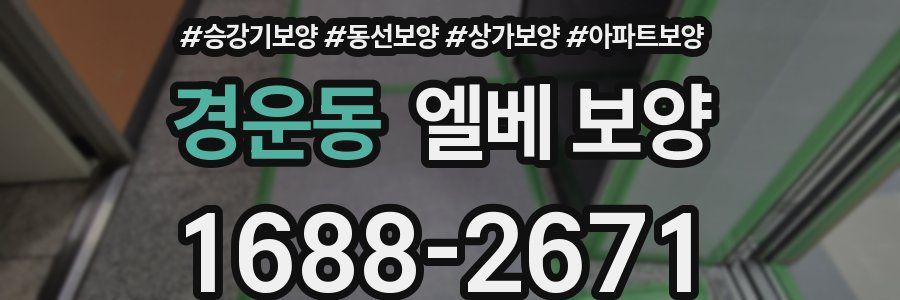 경운동 엘베 보양
