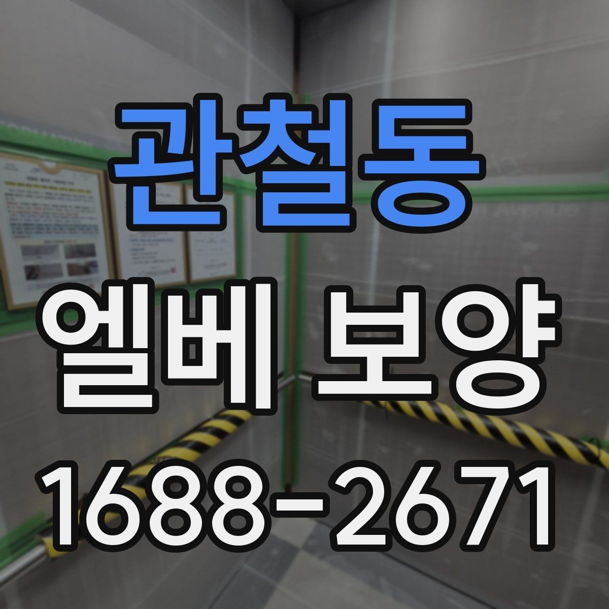 관철동 엘베 보양 유리 패널이 있는 승강기에서 볼 항목