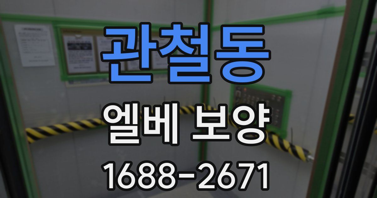 관철동 엘베 보양