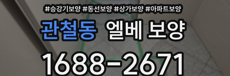 관철동 엘베 보양