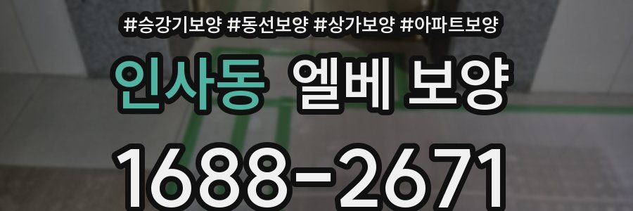 인사동 엘베 보양