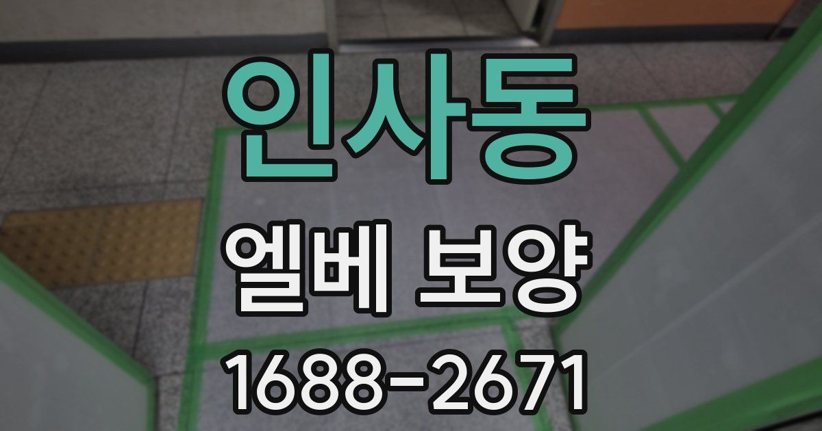 인사동 엘베 보양