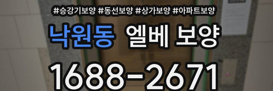 낙원동 엘베 보양