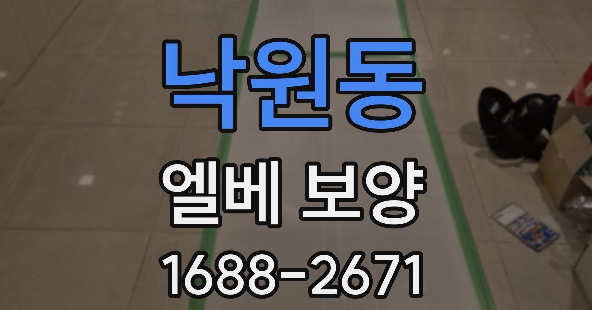 낙원동 엘베 보양