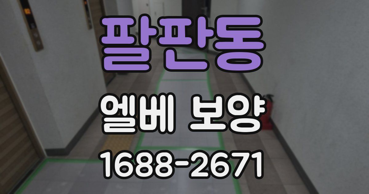 팔판동 엘베 보양