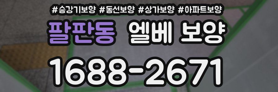 팔판동 엘베 보양