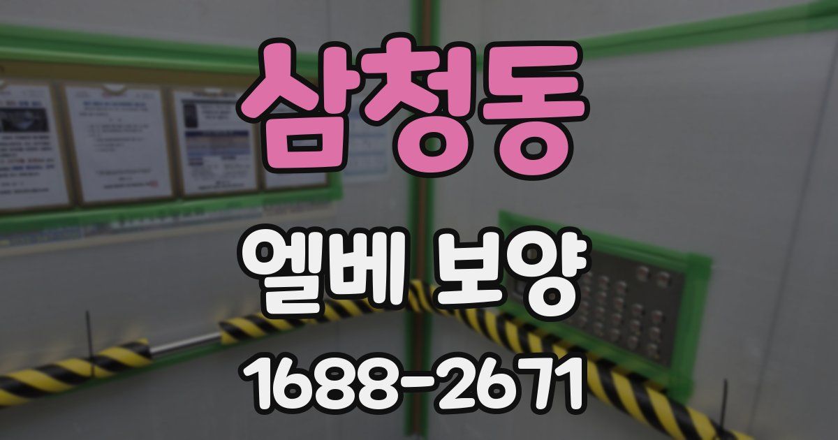 삼청동 엘베 보양