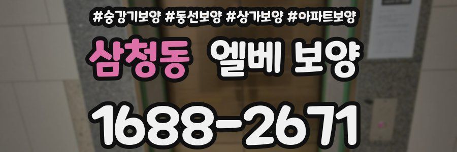 삼청동 엘베 보양
