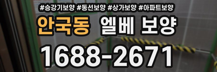 안국동 엘베 보양