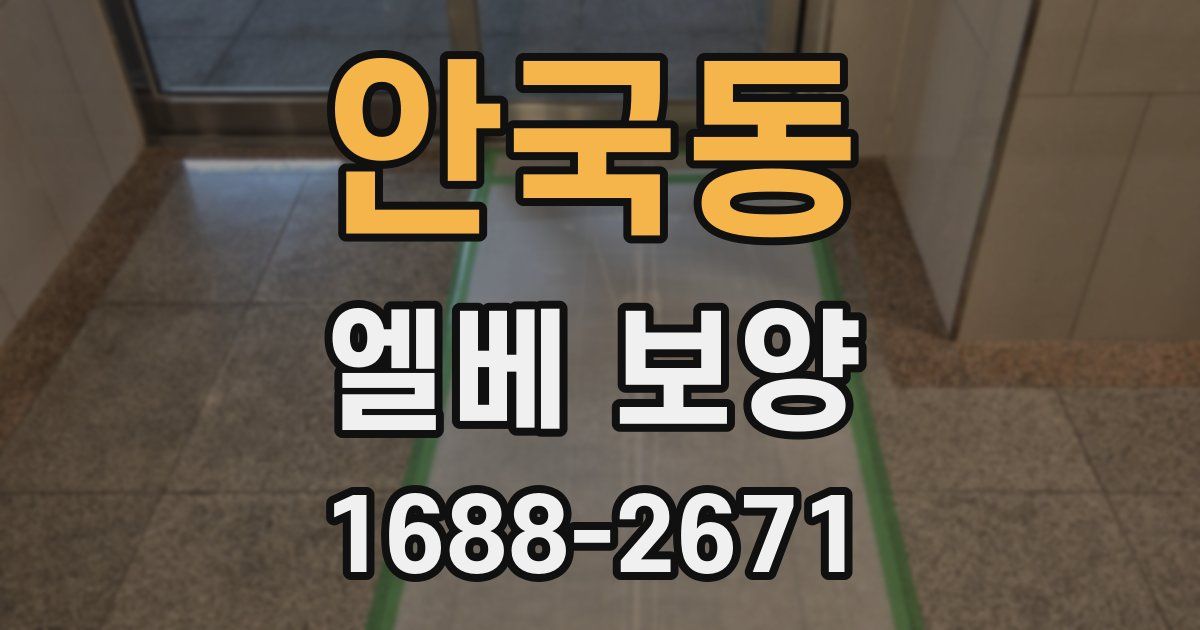 안국동 엘베 보양