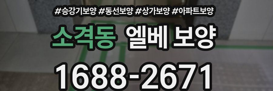 소격동 엘베 보양