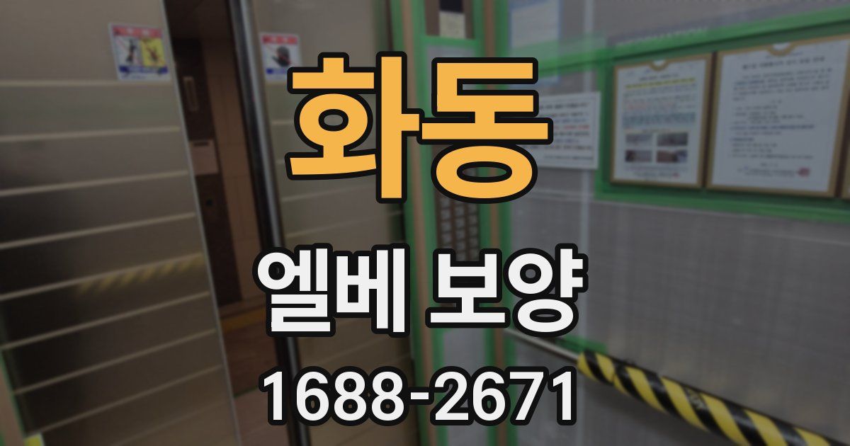 화동 엘베 보양