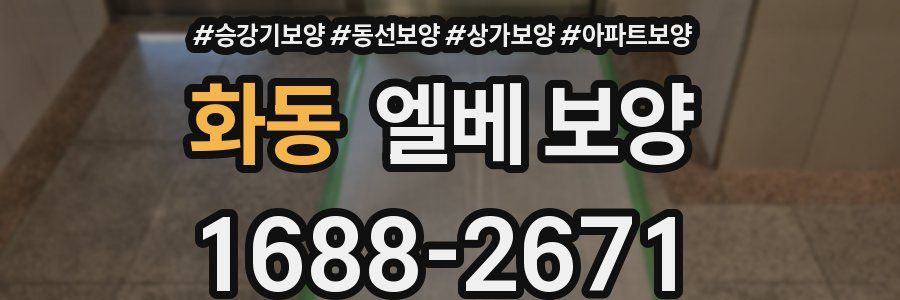 화동 엘베 보양