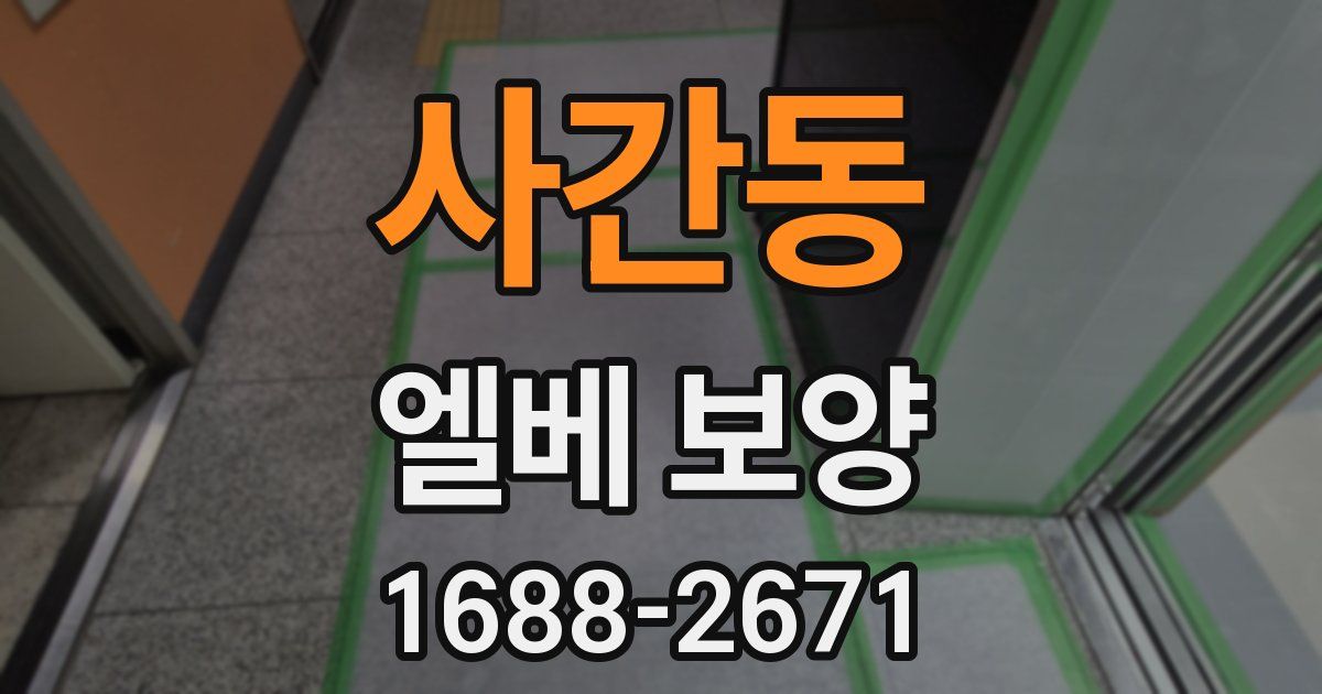 사간동 엘베 보양