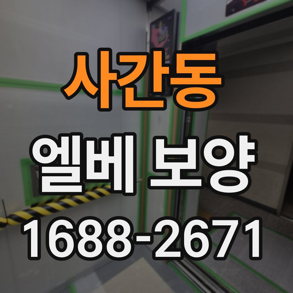 사간동 엘베 보양